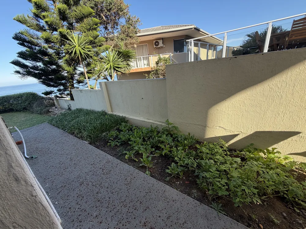 South Africa, Western Cape, Dana Bay, P. Grandiceps Street, 24