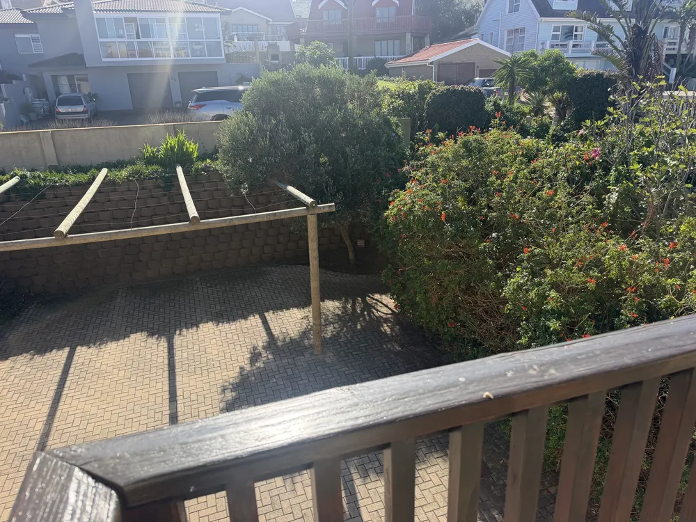South Africa, Western Cape, Dana Bay, P. Grandiceps Street, 24