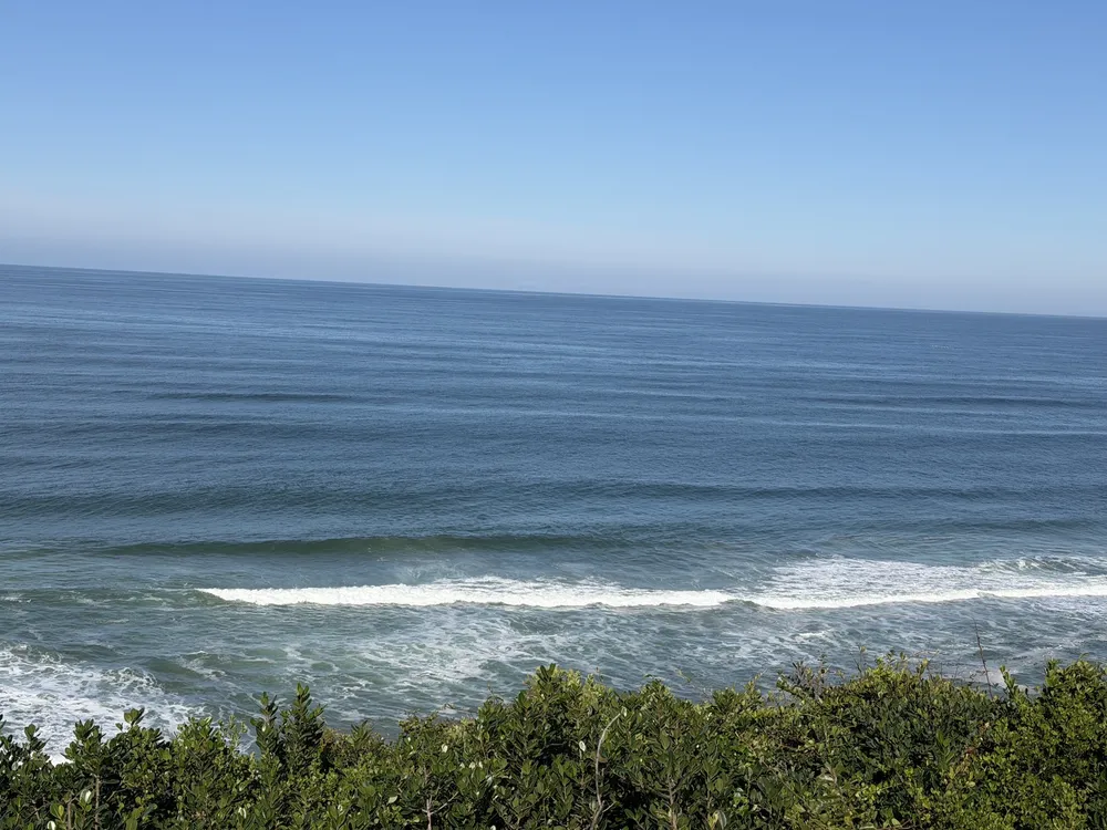 South Africa, Western Cape, Dana Bay, P. Grandiceps Street, 24