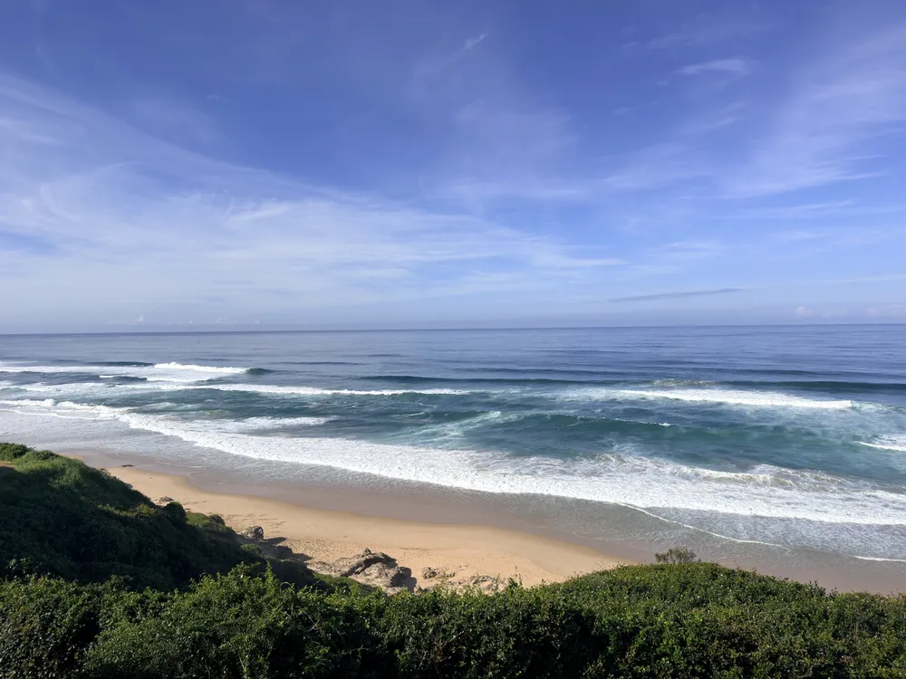 South Africa, Western Cape, Dana Bay, P. Grandiceps Street, 24