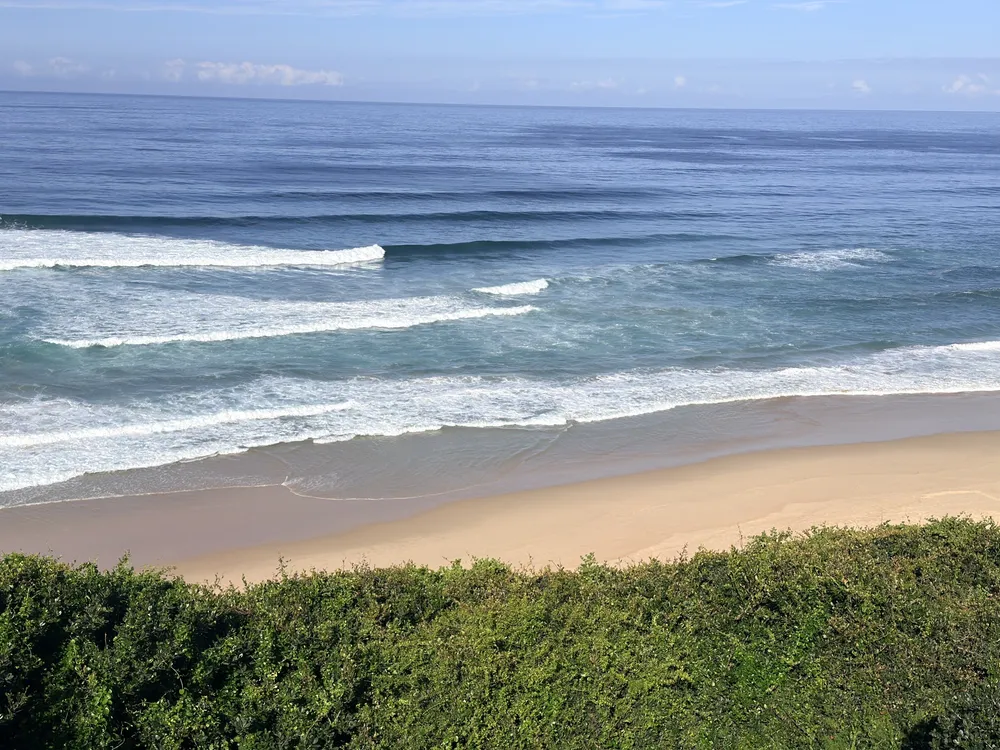 South Africa, Western Cape, Dana Bay, P. Grandiceps Street, 24