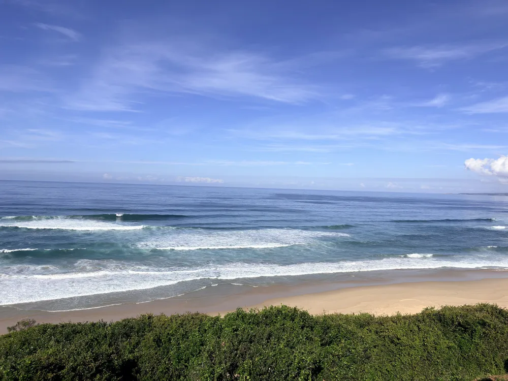 South Africa, Western Cape, Dana Bay, P. Grandiceps Street, 24
