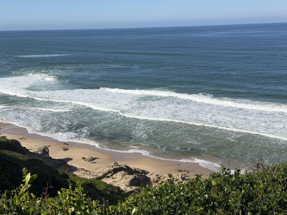 South Africa, Western Cape, Dana Bay, P. Grandiceps Street, 24