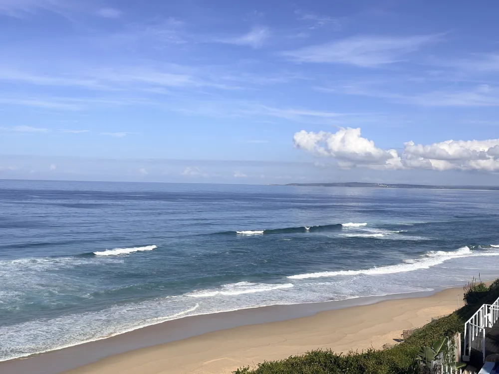 South Africa, Western Cape, Dana Bay, P. Grandiceps Street, 24