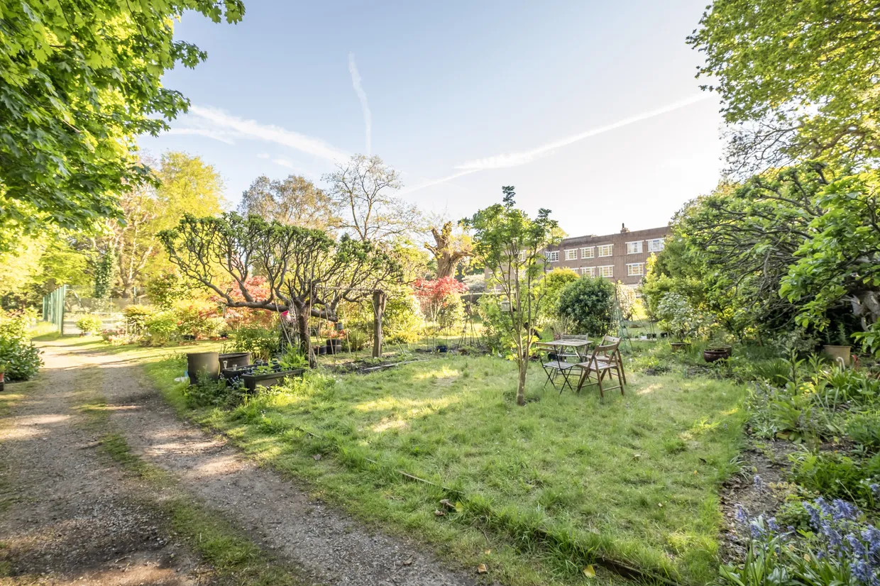 Cambridge Park, Twickenham, TW1 photo 14