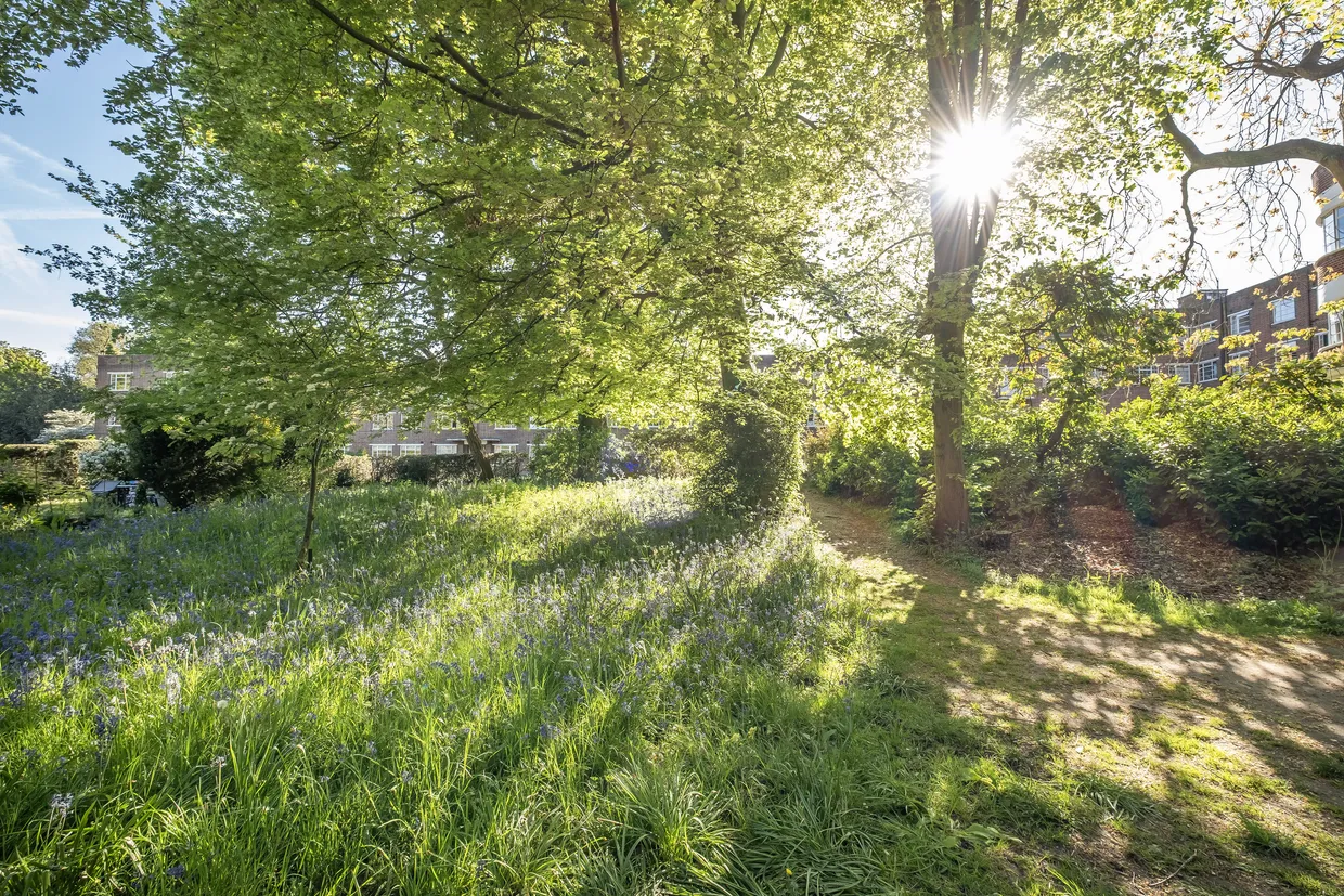 Cambridge Park, Twickenham, TW1 photo 15