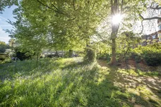 Cambridge Park, Twickenham, TW1 photo 15