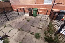 Gaskell Street, Wakefield