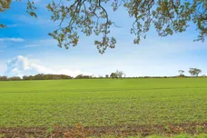 Lime Tree Crescent, Little Fransham, Dereham