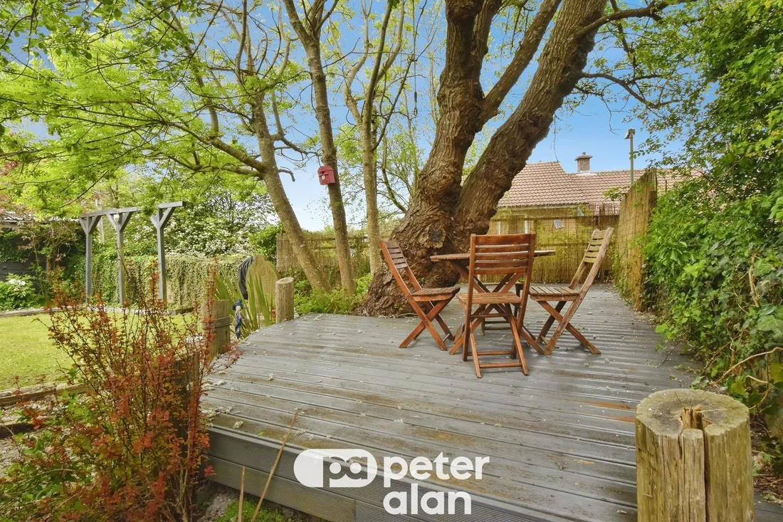 Property photo 46