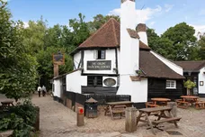 Abbey Mill Lane St. Albans AL3 photo 25