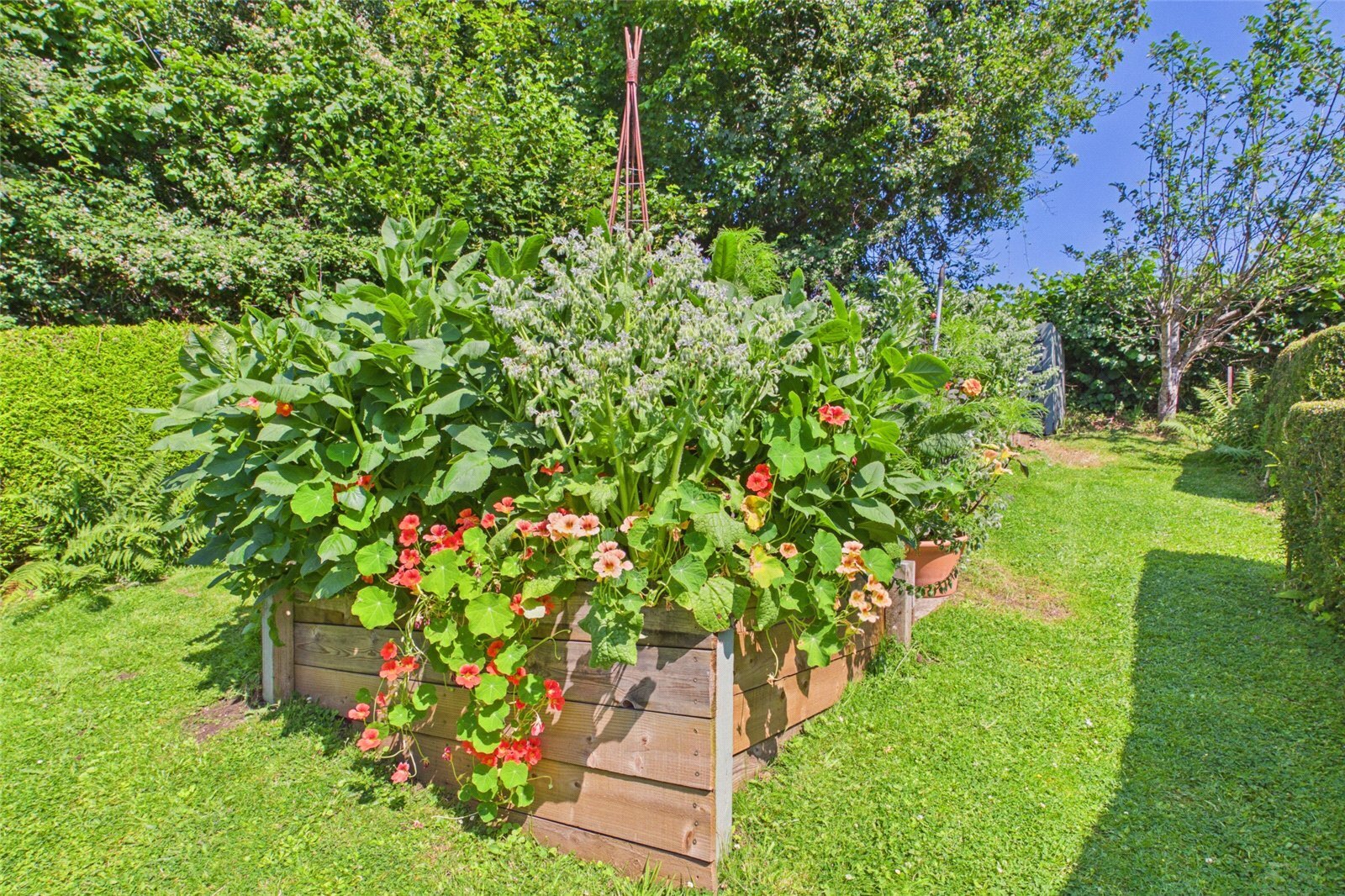 Sterrys Lane, May Hill, Longhope, Gloucestershire, GL17 Image 31