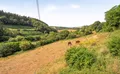 Property image gallery