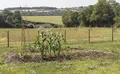 Property image gallery