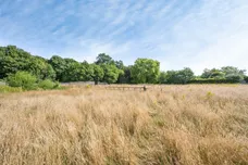 Walcot, Alkborough, Scunthorpe