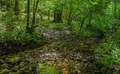Property image gallery