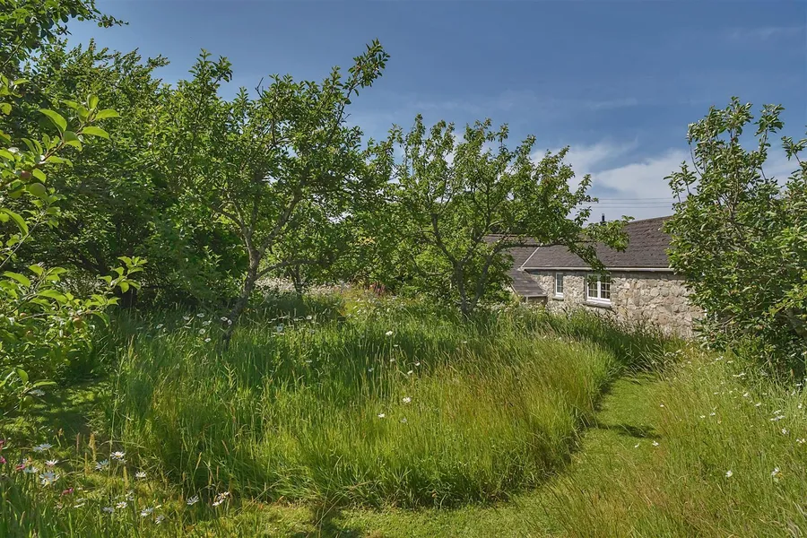 Property Image 46