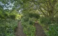 Property image gallery