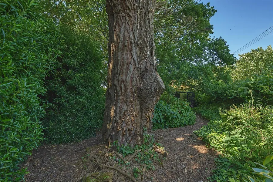 Property Image 54