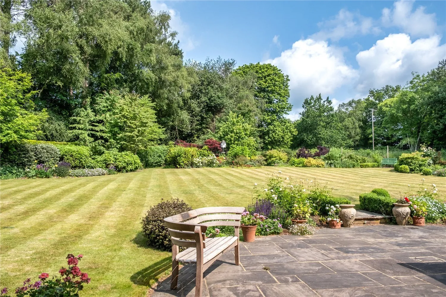 Kings Drive, Midhurst, GU29 photo 15
