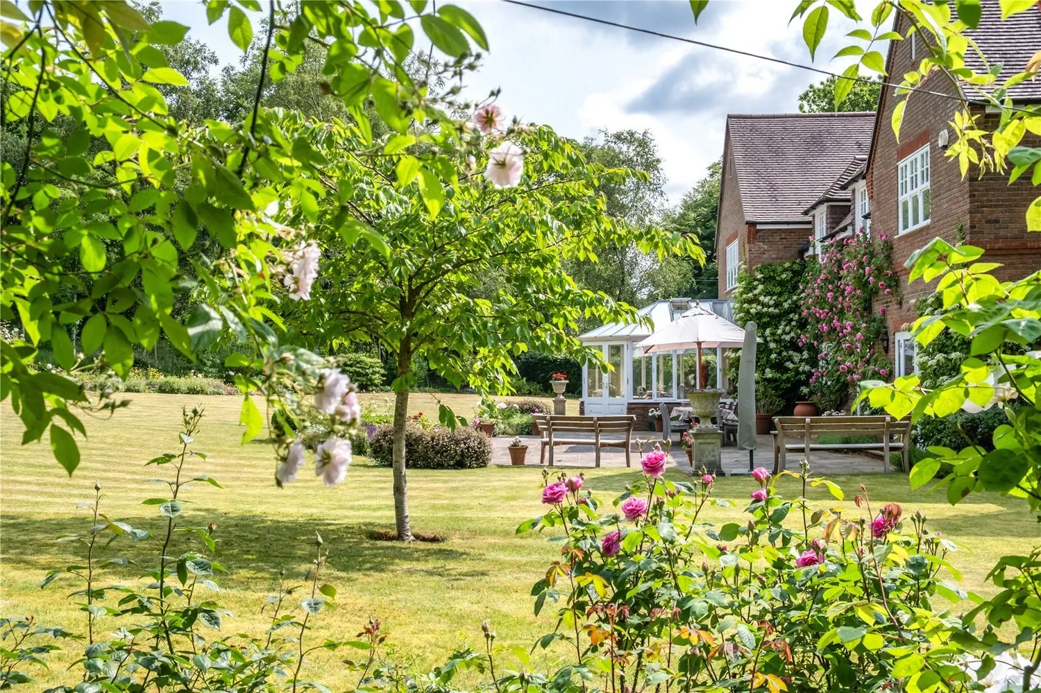 Kings Drive, Midhurst, GU29 photo 16