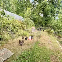 Property 27