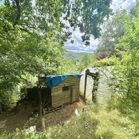 Property 29