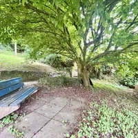 Property 25