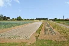 Sandpit Lane, Kirton Holme, BOSTON