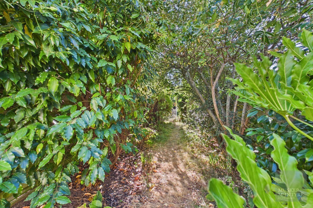 Kemps Lane, Beccles Image 15