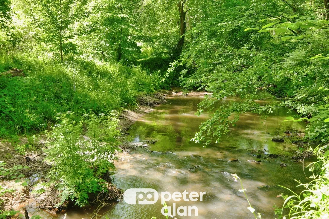 Property photo 32