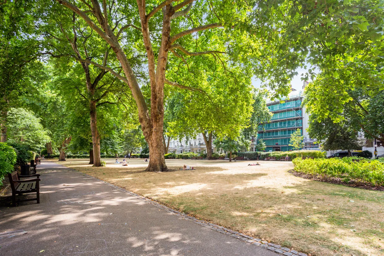 St George's Square, London, SW1V photo 14