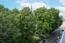 St George's Square, London, SW1V photo 15