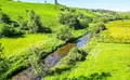 Property image gallery
