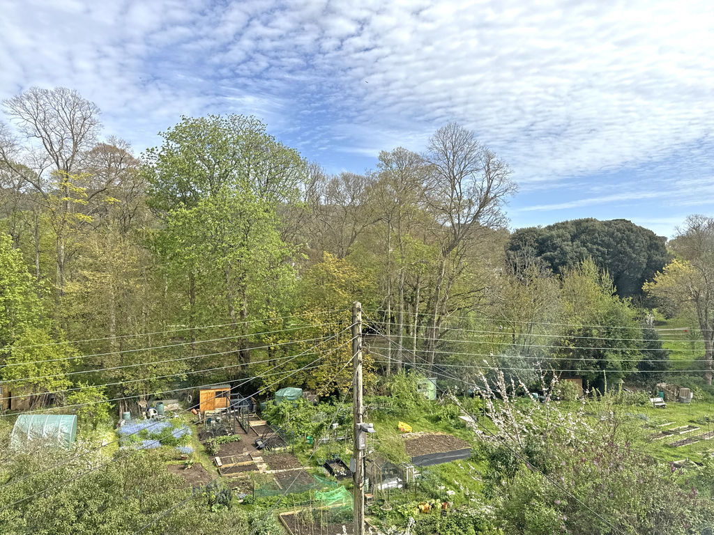 Lawn Vista, Sidmouth Image 8