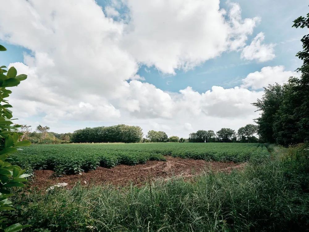 Castle View Farm