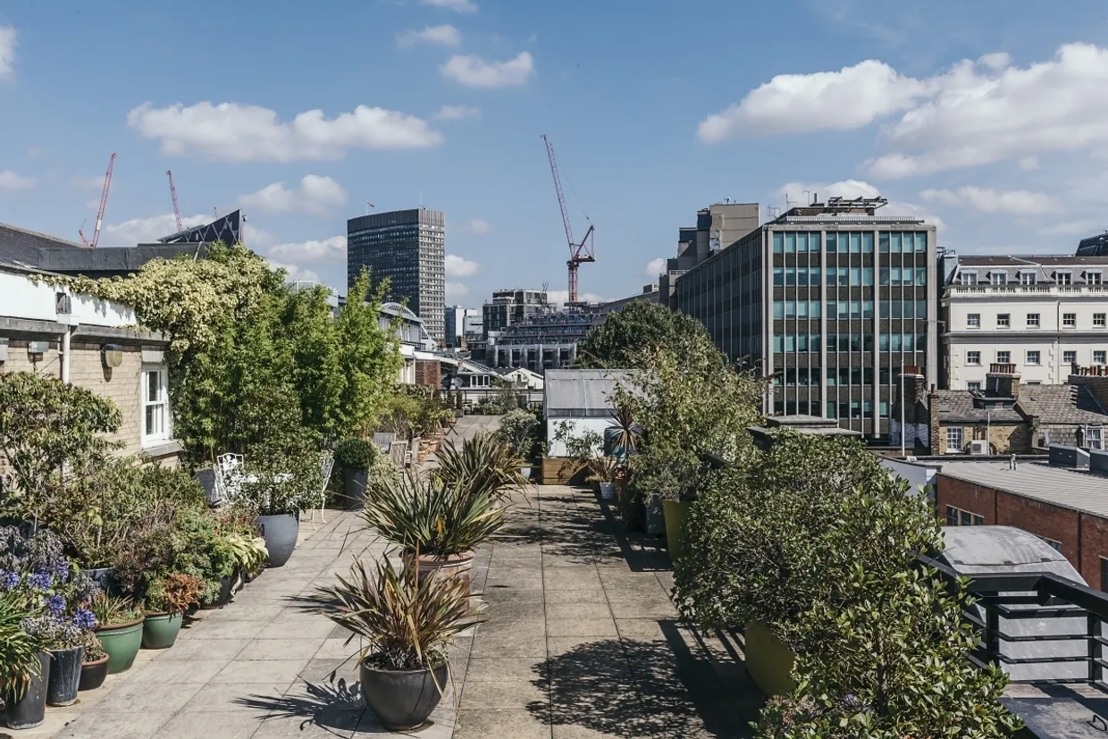 Royal Belgrave House London SW1V photo 8