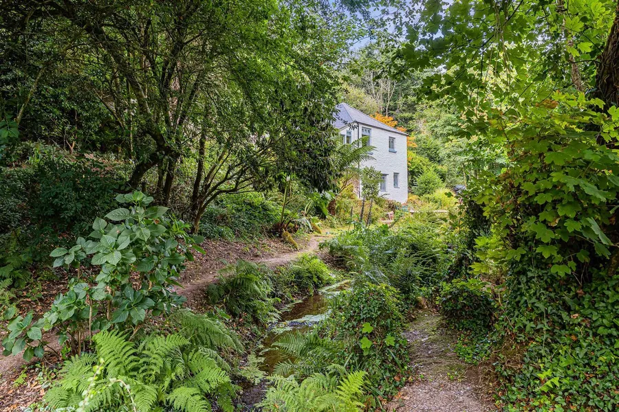Property Image 41