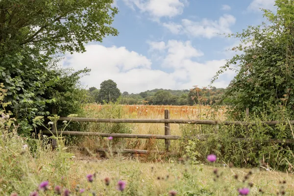 Norwich Road, Woodton, NR35 photo 29