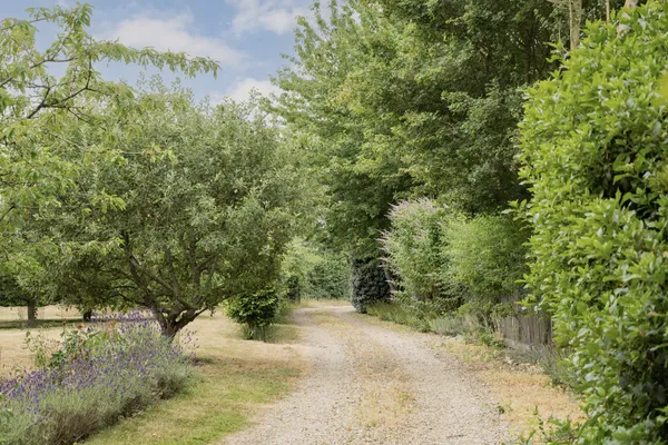 Norwich Road, Woodton, NR35 photo 30