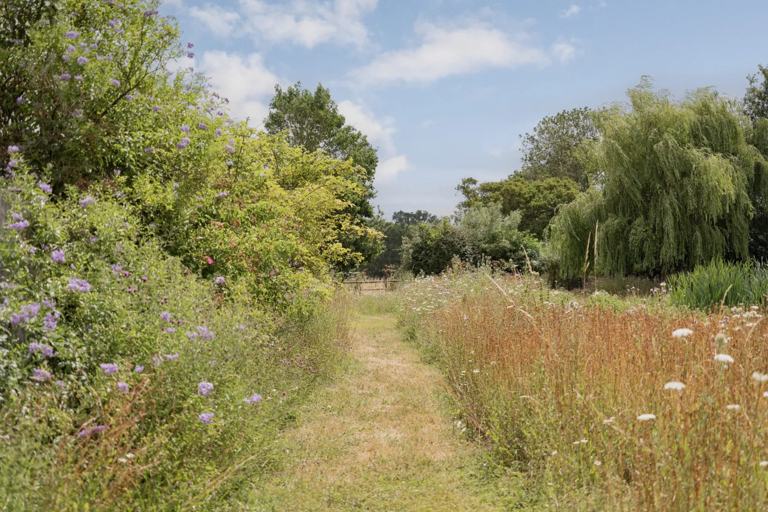 Norwich Road, Woodton, NR35 photo 34