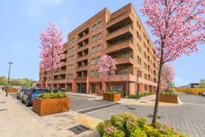 Oxeye Way, London, N18