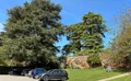 Property image gallery