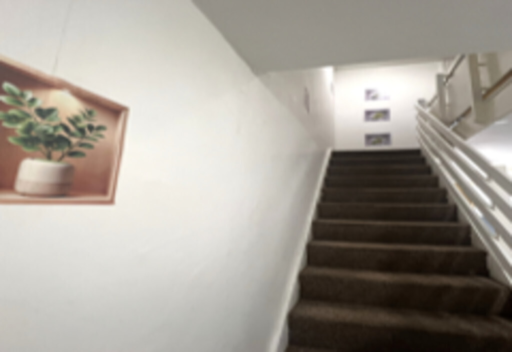 Adderley Street, Coventry Image 8