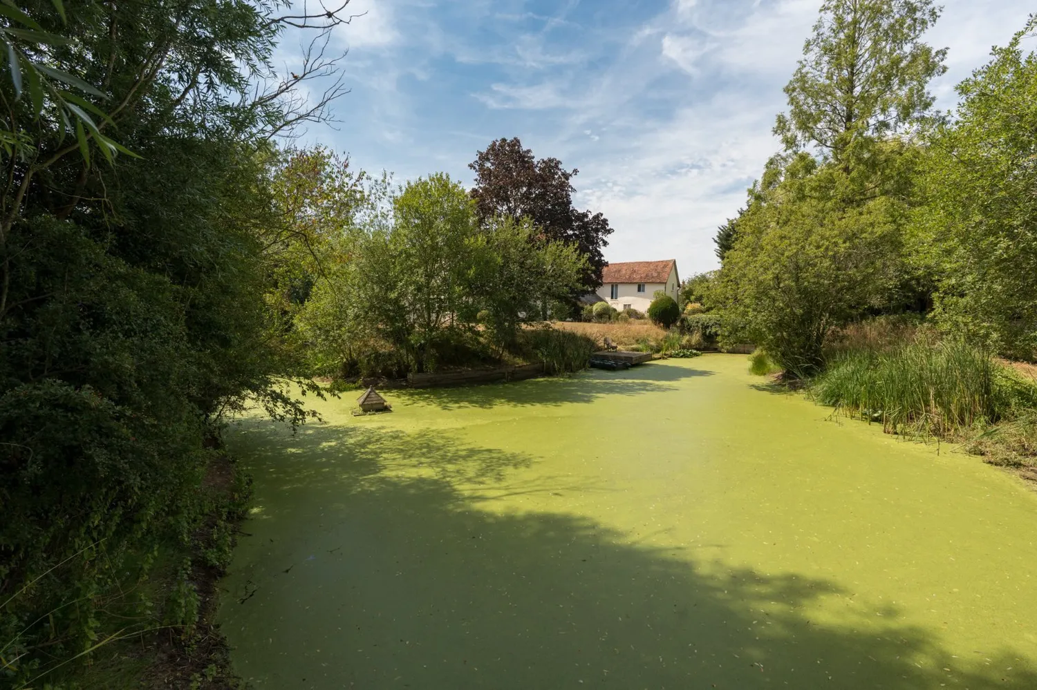 Wood Hall, Wormingford, CO6 photo 32