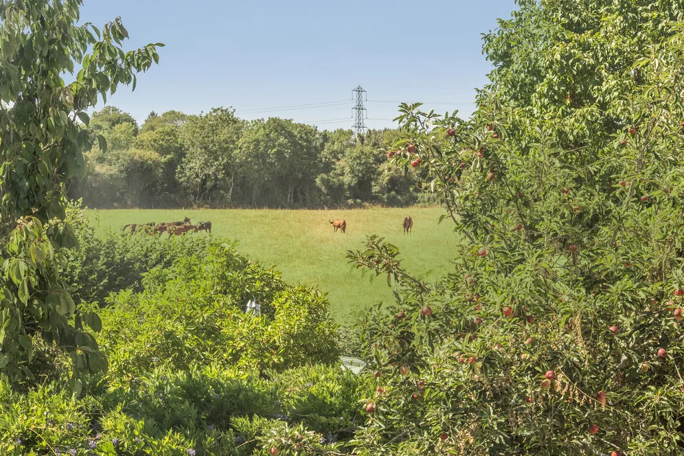 Siddington, Cirencester, GL7 photo 14