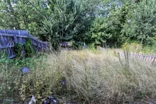 Windermere Road, STOCKTON-ON-TEES