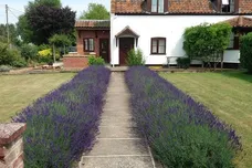 Easthaugh Road, Lyng, NORWICH