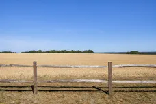 River Hill, Binsted, GU34 photo 18