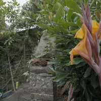 Property 36